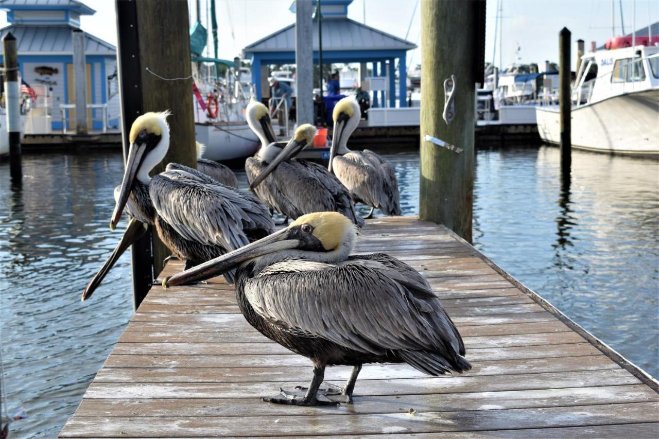 Cove Inn On Naples Bay المظهر الخارجي الصورة